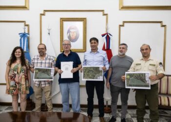 Misiones amplía el parque provincial Piñalito Sur con una donación para la conservación