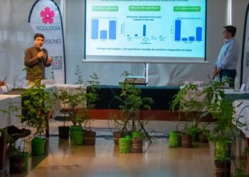 Misiones presentó avances en el monitoreo y la gestión de los bosques nativos