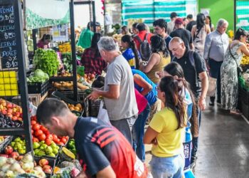 El Mercado Concentrador con horarios especiales para las últimas compras del año