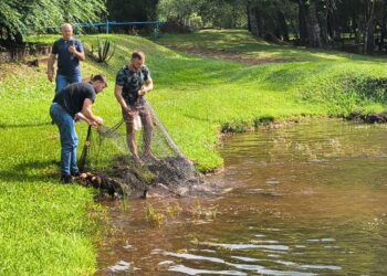 La reglamentación de la piscicultura potenciará la actividad