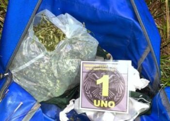 Salto Encantado: patrullajes preventivos derivaron en el secuestro de drogas