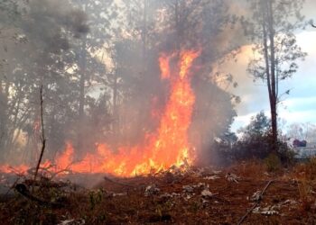 Fortalecen prevención y respuesta ante incendios en Posadas