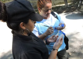 Dengue en Córdoba: un monitoreo arrojó un alto riesgo de transmisión