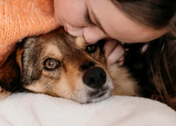 Paraguay reconoce a los animales como seres sintientes