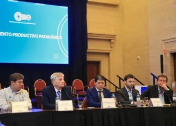 Gobernadores patagónicos pidieron al Congreso la ley de Emergencia Ígnea