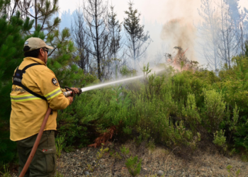 El incendio en Puerto Patriada está contenido en un 100 por ciento