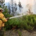 El incendio en Puerto Patriada está contenido en un 100 por ciento