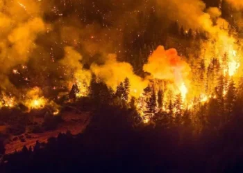 Chubut en alerta: el fuego se intensifica y apuntan a una “intención criminal”