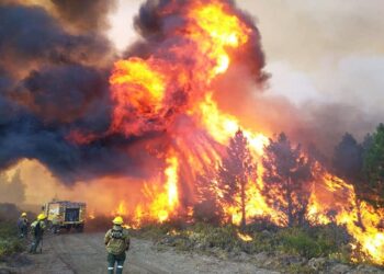 Incendios en Chubut: el mal clima frena el combate y el fuego ya arrasó 45 mil hectáreas