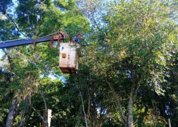 Energía: mantenimiento y reparaciones en varios puntos de la provincia