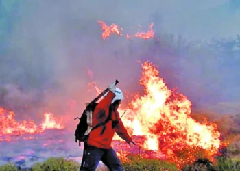 Incendios en Chubut: nuevos indicios de la investigación apuntan a una «disputa por tierras»