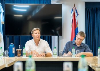 Sin La Libertad Avanza, los bloques legislativos analizaron la crisis yerbatera