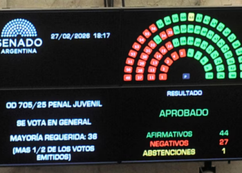 El Senado aprobó el Régimen Penal Juvenil y la edad de imputabilidad bajará a 14 años