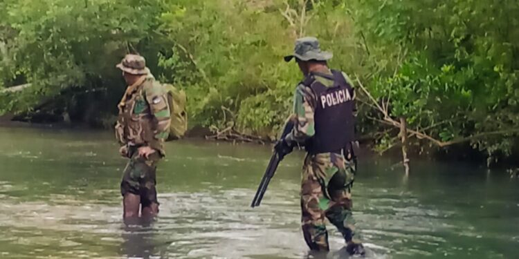 Guardaparques detectan y desmantelan estructuras de caza furtiva en el Parque Yacuy