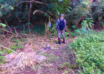 Refuerzan patrullajes en el Parque Provincial Salto Encantado