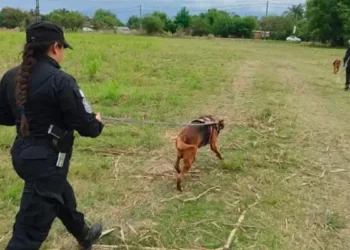 Funcionamiento de «Alerta Sofía» en zonas fronterizas