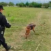 Funcionamiento de «Alerta Sofía» en zonas fronterizas
