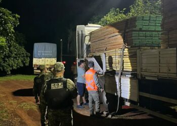 Ecología interceptó camiones con madera no declarada en rutas de Misiones