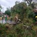 El temporal en Posadas provocó caída de postes y árboles y anegamiento