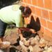 Posadas apuesta al barro: bioconstrucción para viviendas saludables y accesibles