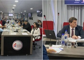 Misiones asumió la vicepresidencia de la Comisión Federal de Impuestos
