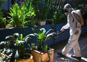 Misiones sin casos autóctonos de dengue ni chikungunya en el verano 2026