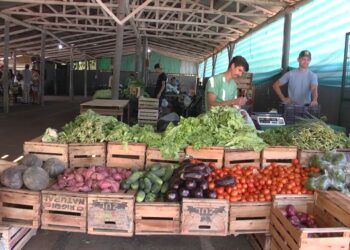 Las ferias francas en Posadas abrirán durante Semana Santa en sus horarios habituales