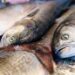 Promueven el consumo de pescado local para consolidar el trabajo de productores