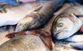 Promueven el consumo de pescado local para consolidar el trabajo de productores