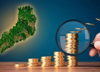 Caída de la coparticipación golpea a Misiones y activa plan de austeridad