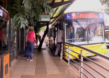 Fin del paro: tras pago de sueldos los ómnibus retoman los recorridos habituales