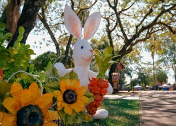 Capioví se posiciona como uno de los principales puntos de la agenda de Pascua en Misiones
