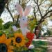 Capioví se posiciona como uno de los principales puntos de la agenda de Pascua en Misiones