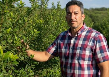 Desde el Inym niegan una crisis yerbatera y defendienden la desregulación del mercado