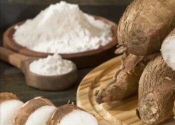 Misiones impulsa la producción de fécula de mandioca con créditos y apoyo a la industria