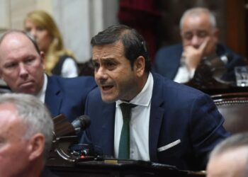 Misiones impulsa en el Congreso la reducción del IVA a la mandioca para proteger la economía regional