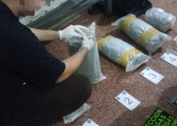 Secuestraron marihuana valuada en más de $15 millones en la zona costera de Posadas