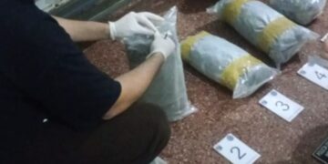 Secuestraron marihuana valuada en más de $15 millones en la zona costera de Posadas