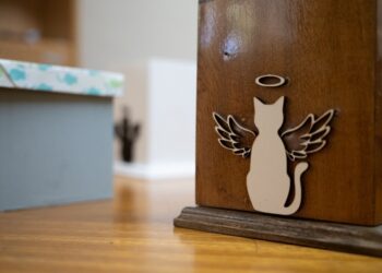 Garupá abre el debate público por un crematorio de mascotas