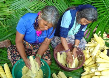 Misiones presentó una guía alimentaria adaptada a la cultura Mbya Guaraní