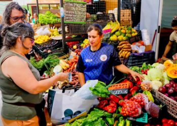 El Mercado Concentrador afianza su perfil social con el primer Sábado Cultural en Posadas