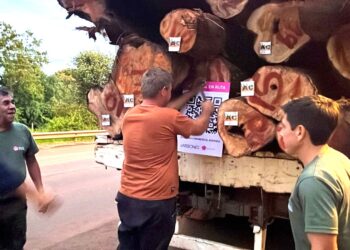 Misiones refuerza el control forestal con tecnología, mayor presencia territorial y foco en la legalidad de la madera