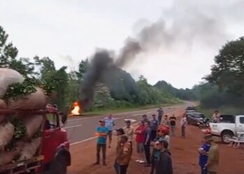 Productores yerbateros frenan el traslado de materia prima y reclaman precios justos