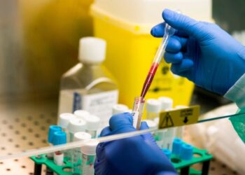 Detectan en Argentina seis casos de un rarísimo grupo sanguíneo