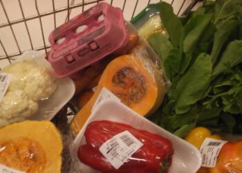 Lanzan una campaña para promover la alimentación saludable y prevenir la obesidad