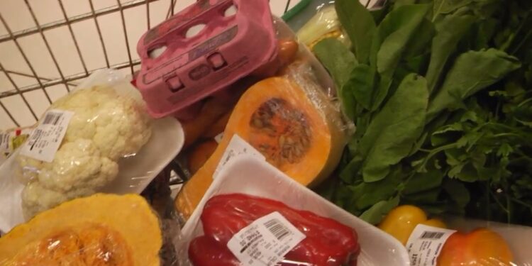 Lanzan una campaña para promover la alimentación saludable y prevenir la obesidad