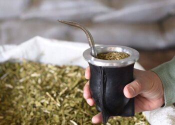 El Primer Mundial de la Yerba Mate reunirá a productores de seis países en Buenos Aires