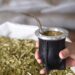El Primer Mundial de la Yerba Mate reunirá a productores de seis países en Buenos Aires