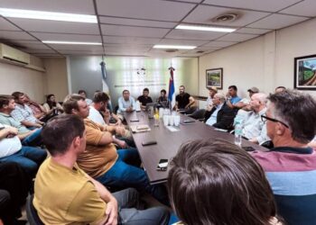 La mesa yerbatera en Misiones avanza en una propuesta de precios ante la desregulación