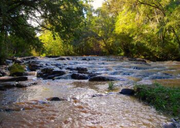 Misiones tiene más de 1,6 millones de hectáreas protegidas